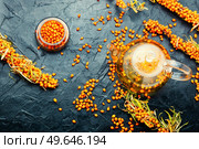 Healthy autumn tea, tea with fresh sea buckthorn berries. Seasonal tea with sea buckthorn. Стоковое фото, агентство Ingram Publishing / Фотобанк Лори