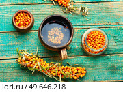 Fragrant autumn tea, medicinal tea with fresh sea buckthorn. Berry drink. Beverage with sea buckthorn, healthy drink. Стоковое фото, агентство Ingram Publishing / Фотобанк Лори