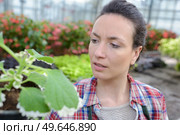 female scientist checking plants and flowers. Стоковое фото, агентство Ingram Publishing / Фотобанк Лори