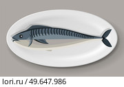 Crucian carp, mackerel, dish on plate. Cooking river fishes concept. Crucian carp, mackerel with fins, tail and scales. Preparing river fish products. Fish dish on plate isolated on white background. Baked mackerel dish on plate. Crucian carp for restaurant, dishware with food vector illustration. Стоковая иллюстрация, агентство Ingram Publishing / Фотобанк Лори