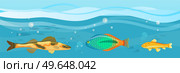 Underwater ocean fauna with fishes, seaweed and shells on sand. Ocean bottom with marine life reprsentatives. Marine underwater world with exotic fishes. Bright tropical fish floating on seabed. Tropical fish floating on seabed. Ocean bottom, underwater world with marine life reprsentatives. Стоковая иллюстрация, агентство Ingram Publishing / Фотобанк Лори