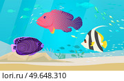 Underwater ocean fauna with exotic fishes. Ocean bottom with marine life reprsentatives. Marine underwater world with school of tropical fish. Seascape, undersea landscape vector illustration. Underwater ocean world with exotic fishes. Ocean bottom with marine life, school of tropical fish. Стоковая иллюстрация, агентство Ingram Publishing / Фотобанк Лори