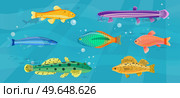 Underwater ocean fauna with fishes, seaweed and shells on sand. Ocean bottom with marine life reprsentatives. Marine underwater world with exotic fishes. Bright tropical fish floating on seabed. Tropical fish floating on seabed. Ocean bottom, underwater world with marine life reprsentatives. Стоковая иллюстрация, агентство Ingram Publishing / Фотобанк Лори