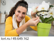 a young woman tends to her houseplants. Стоковое фото, агентство Ingram Publishing / Фотобанк Лори
