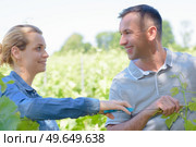 two winegrowers in the vinyard. Стоковое фото, агентство Ingram Publishing / Фотобанк Лори