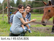 family stands on the field before a horse. Стоковое фото, агентство Ingram Publishing / Фотобанк Лори