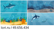 Underwater fauna with fishes, seaweed, whales. Ocean bottom with marine life reprsentatives. Set of illustrations with marine underwater world. Sea, seafloor, undersea with killer whale and shark. Set of illustrations with marine world, ocean bottom. Underwater fauna with fishes, seaweed, whales. Стоковая иллюстрация, агентство Ingram Publishing / Фотобанк Лори