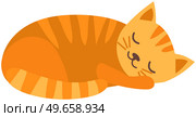 Cute, adorable cat sleeping isolated on white background. Fluffy pet lies curled up in ball. Ginger kitten lies with closed eyes. Animal living at home, cute pet. Red cat with long tail and hair. Ginger kitten lying with closed eyes. Animal living at home, cute pet, house cat sleeping. Стоковая иллюстрация, агентство Ingram Publishing / Фотобанк Лори