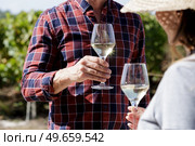 wine tasting degustation hands holding a glass in wineyard. Стоковое фото, агентство Ingram Publishing / Фотобанк Лори