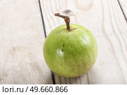 Tropical sweet fruit Sapote Star apple. Стоковое фото, фотограф Андрей Старостин / Фотобанк Лори