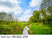 Small creek in a rural green landscape in the summer with a blue sky above. Стоковое фото, агентство Ingram Publishing / Фотобанк Лори