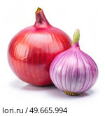 Red Onion and Shallot on White Background. Generative AI. Стоковое AI-изображение, AI-художник Roman Zavorotny / Фотобанк Лори