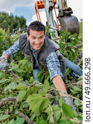 a gardener is amongst branches. Стоковое фото, агентство Ingram Publishing / Фотобанк Лори