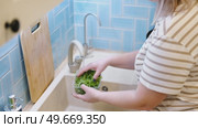 Close up of woman washing fresh green salad leaves under the faucet in stylish kitchen sink, splashes. Female hands rinsing lettuce with tap water. Food safety. Vegan vegetable leaf salad preparation. Стоковое видео, видеограф Марина Демидюк / Фотобанк Лори