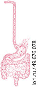 Polygonal stomach and intestines. Medical research of internal organs, innovative approach concept. Human digestive system illustration. Modern depiction of organs for digesting and assimilating food. Polygonal stomach and intestines. Modern depiction of digestive system organs for digesting food. Стоковая иллюстрация, агентство Ingram Publishing / Фотобанк Лори