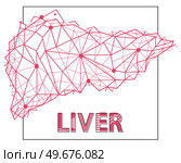 Polygonal human liver made of red lines and dots. Medical research of internal organs, innovative approach concept. Organ of human digestive system. Modern depiction of external secretion gland, liver. Polygonal human liver, external secretion gland. Modern depiction of organ of human digestive system. Стоковая иллюстрация, агентство Ingram Publishing / Фотобанк Лори