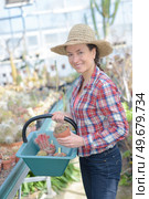 smiling woman choosing a various cactuses in the gardening department. Стоковое фото, агентство Ingram Publishing / Фотобанк Лори