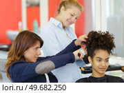 female hairdresser styling a clients afro hair. Стоковое фото, агентство Ingram Publishing / Фотобанк Лори