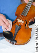 portrait of man polishing the violin. Стоковое фото, агентство Ingram Publishing / Фотобанк Лори