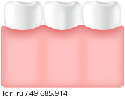 White healthy human teeth in gum. Jaw with molars. Care and hygiene symbol icon. Vector dental medical illustration. Molars with enamel, normal teeth in human gum. Dentistry, oral health care. White healthy human teeth in gum. Molars with enamel in mouth. Care and hygiene symbol icon. Стоковая иллюстрация, агентство Ingram Publishing / Фотобанк Лори