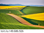 Amazing green and yellow rape spring fields Landscape. Agriculture Rural scene. Czech Moravia colza canola farmland bloom. Hunting box on Sunny waving hills. Minimalistic nature background. Стоковое фото, агентство Ingram Publishing / Фотобанк Лори