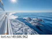 Three dolphins are swimming in the ocean. Стоковое AI-изображение, AI-художник Ярославский Максим / Фотобанк Лори