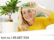 female using secateurs to trim bonsai. Стоковое фото, агентство Ingram Publishing / Фотобанк Лори