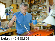 portrait of man fixing a cello. Стоковое фото, агентство Ingram Publishing / Фотобанк Лори