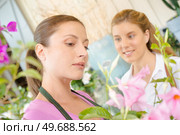 inattentive florist in front of the camera. Стоковое фото, агентство Ingram Publishing / Фотобанк Лори