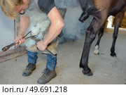 a man farrier applying horsehoe. Стоковое фото, агентство Ingram Publishing / Фотобанк Лори