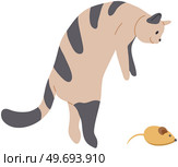 Portrait of cute kitten playing with mouse. Adorable kitty stands on its hind legs in jumping position. Sweet pet isolated on white. Lovely cat with white and black hair. Friendly pet, domestic animal. Portrait of cute kitten playing with mouse. Adorable kitty stands on hind legs in jumping position. Стоковая иллюстрация, агентство Ingram Publishing / Фотобанк Лори