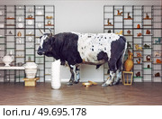 bull in a China shop. Photo and media mixed creative concept. Стоковое фото, агентство Ingram Publishing / Фотобанк Лори