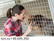 dedicated girl training dog in kennel. Стоковое фото, агентство Ingram Publishing / Фотобанк Лори