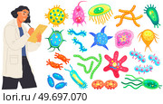 Scientist makes laboratory analysis of life system and organisms. Microbiology, biology, science, biological research concept. Biologist making notes during study of cells and microorganisms. Biologist making notes during study of microorganisms. Scientist makes laboratory analysis. Стоковая иллюстрация, агентство Ingram Publishing / Фотобанк Лори