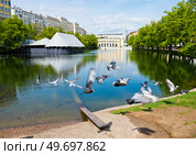 Птицы разлетаются в разные стороны. Чистые пруды. Москва. Россия. Редакционное фото, фотограф E. O. / Фотобанк Лори
