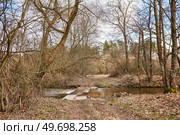 Early spring forest. Dirt rural road. Bridge flooded by overflow river. March spring day. Calm weather. Season change. Village rural landscape. Belarus. Стоковое фото, агентство Ingram Publishing / Фотобанк Лори