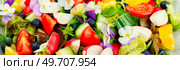 Bright vegetable salad with edible flowers. Clean eating. Close up, food background. Tasty summer salad with edible flowers. Стоковое фото, агентство Ingram Publishing / Фотобанк Лори
