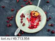 Summer open pie with red currants and gooseberries. Slice of fruit pie.. Slice of fruit pie on the kitchen table. Стоковое фото, агентство Ingram Publishing / Фотобанк Лори