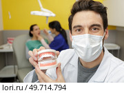 a medical student learning dentistry. Стоковое фото, агентство Ingram Publishing / Фотобанк Лори