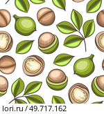 Hand drawn seamless pattern with macadamia nuts. Vector background with nuts and green leaves. Стоковая иллюстрация, агентство Ingram Publishing / Фотобанк Лори