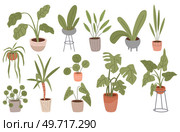 Trendy home decor with plants, cacti, tropical leaves. Potted plants for the interior. Home plants in flowerpot. Pot plant set. Plants plastic decorative container and hanging styling indoor basket. Trendy home decor with plants, tropical leaves. Potted plants for the interior. Home plants in flowerpot. Pot plant set. Стоковая иллюстрация, агентство Ingram Publishing / Фотобанк Лори