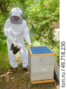 Man working on bee hive. Стоковое фото, агентство Ingram Publishing / Фотобанк Лори