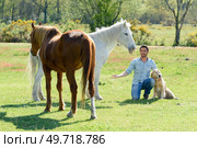 male groom with dog and horses in rural stables. Стоковое фото, агентство Ingram Publishing / Фотобанк Лори