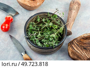 Marjoram, a hot spice, a spice with a sweet smell and a medicinal plant. Bunch of fresh green herb marjoram. Стоковое фото, агентство Ingram Publishing / Фотобанк Лори