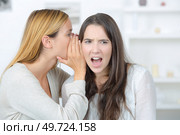 two young woman relying rumors. Стоковое фото, агентство Ingram Publishing / Фотобанк Лори