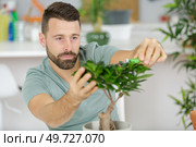 happy man taking care of bonsai plant. Стоковое фото, агентство Ingram Publishing / Фотобанк Лори