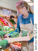 sales assistant restocking broccoli in green grocers. Стоковое фото, агентство Ingram Publishing / Фотобанк Лори