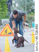 Dog handler giving dog a treat. Стоковое фото, агентство Ingram Publishing / Фотобанк Лори