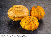 Decorative yelow pampkin seasonal vegetables. Стоковое фото, фотограф Андрей Старостин / Фотобанк Лори
