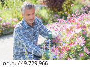 a gardner is tending to flowers. Стоковое фото, агентство Ingram Publishing / Фотобанк Лори